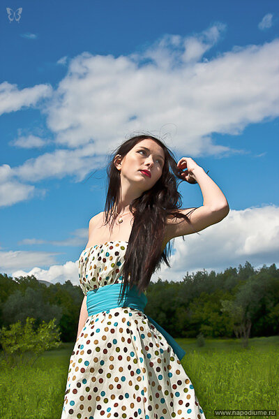 Alexander Gardner's photo