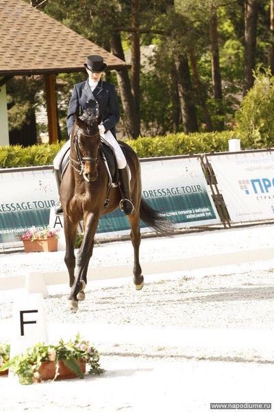 Olga =) Equestrian's photo