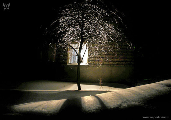 Sergej Kodr's photo