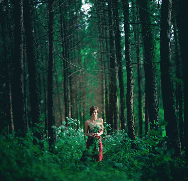 Фото Nikolay Tikhomirov