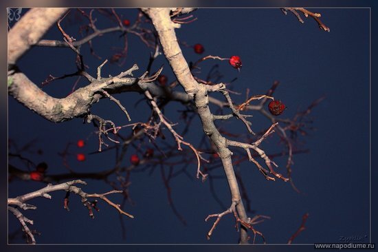 Maria Zablockaa's photo
