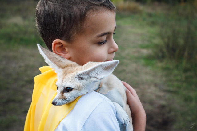 Foto Alexandra Rebrova