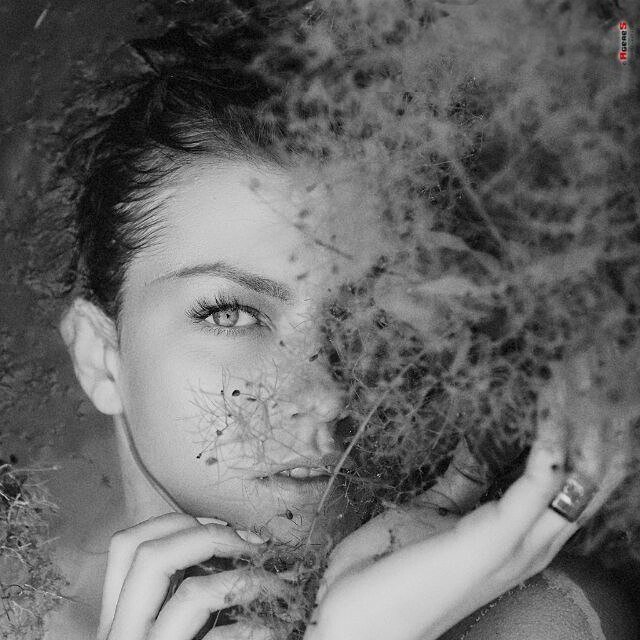 Ksenija Li's photo