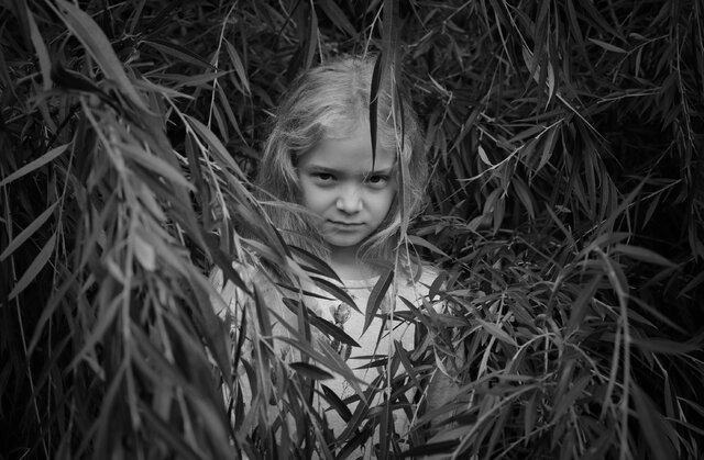 Dmitry Grebcov's photo