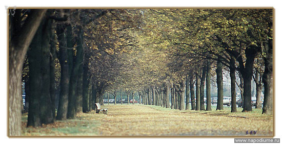 Evgenij Lusin's photo