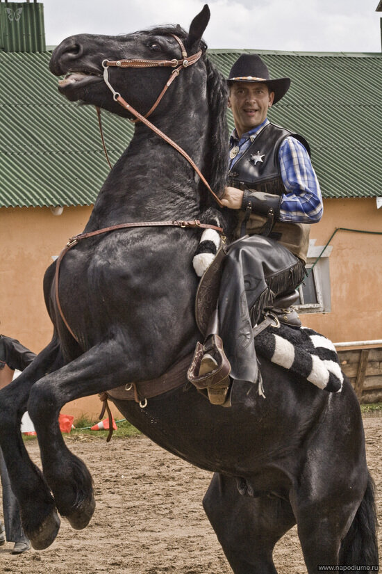 Фото Андрей Saorfoto