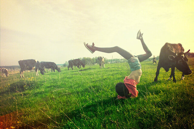 Vasily Ovchinnikov's photo