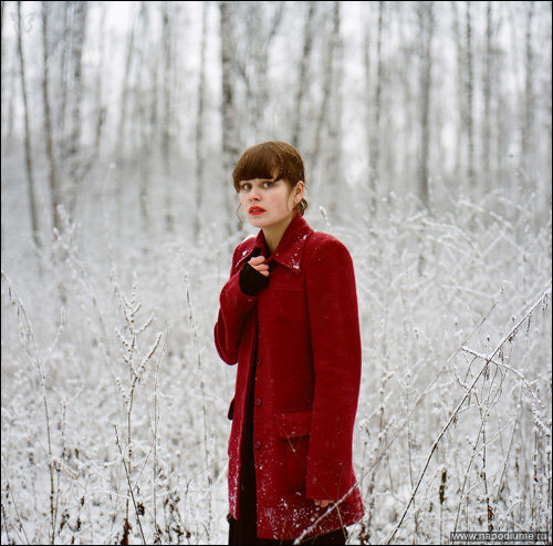 Anton Komlev's photo