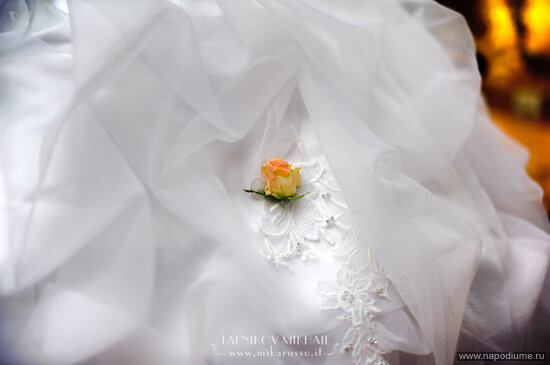 Mikhail Talnikov's photo