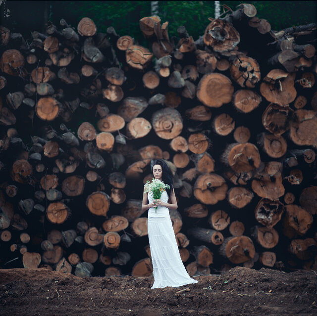 Фото Nikolay Tikhomirov