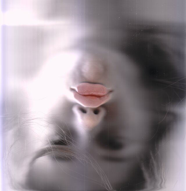 Angelina Karpova's photo