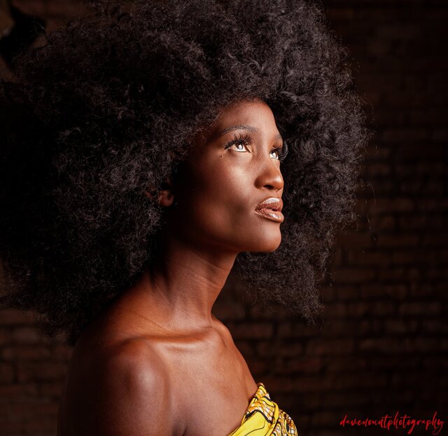 Dave Mount's photo