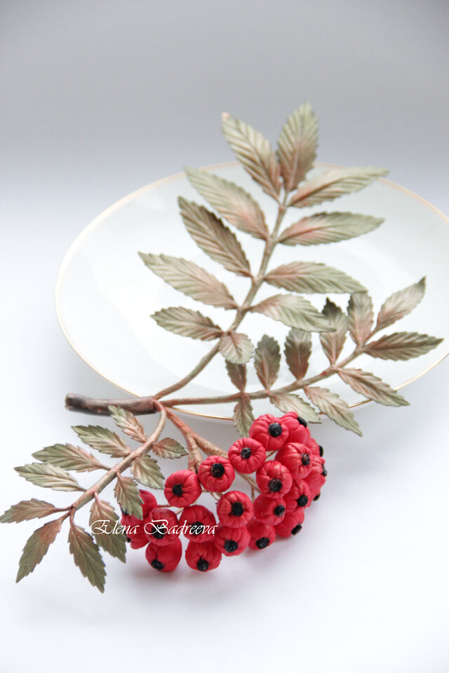 Elena Badreeva's photo
