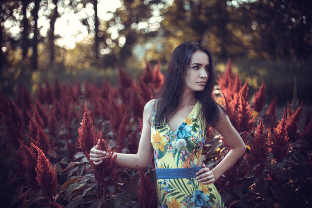 Фото Anna Korobeinikova
