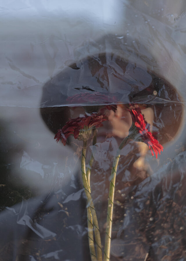 Alina Zhilina's photo
