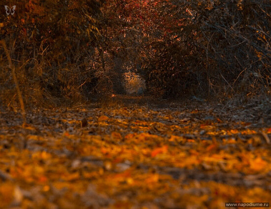 Фото Андрей Шульга