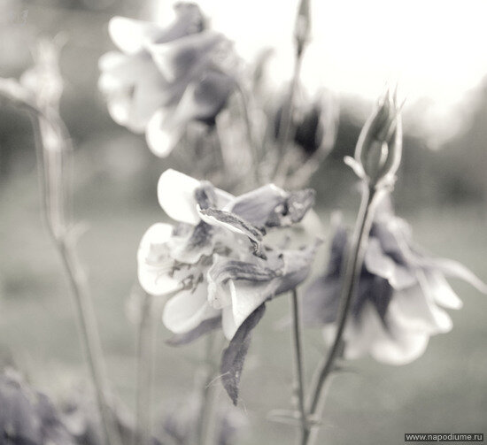 Фото Ri Bulatova
