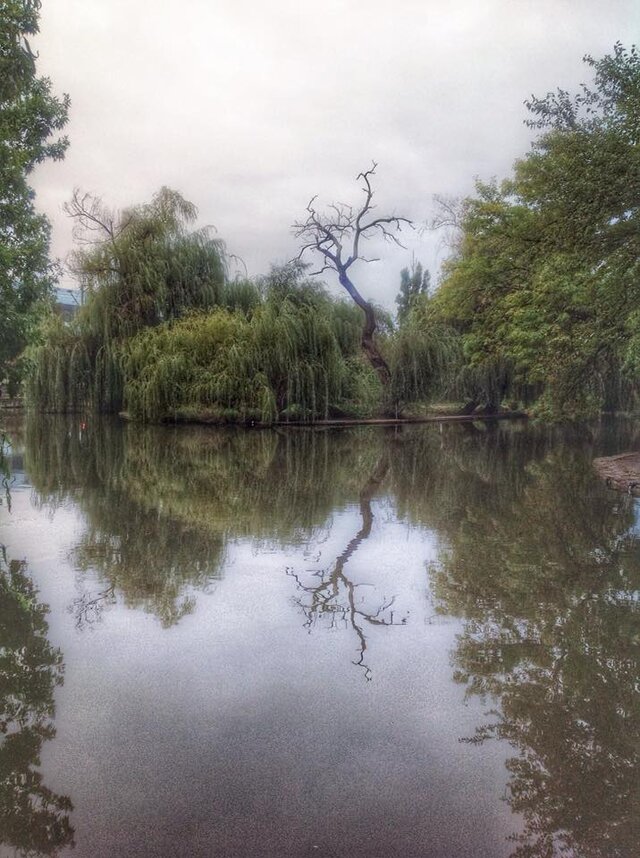 Darya Markina's photo