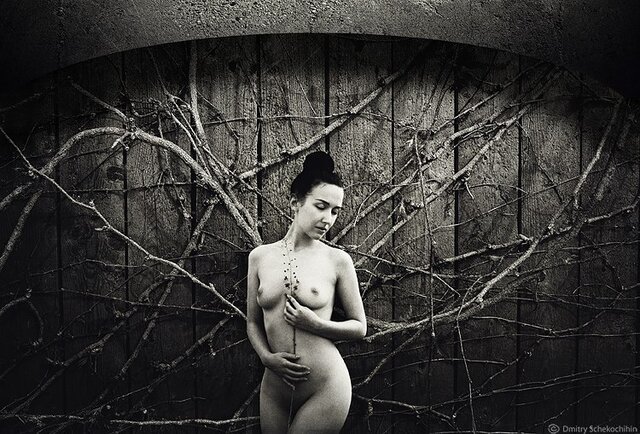 Фото Anastasya Shipina