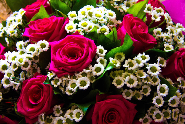 Diana Hudakova's photo