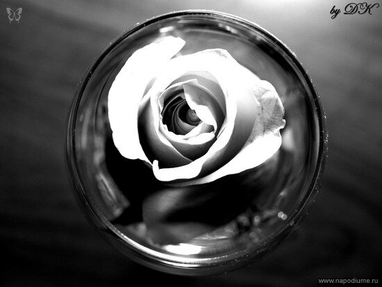 Dar'a Kolomiec's photo