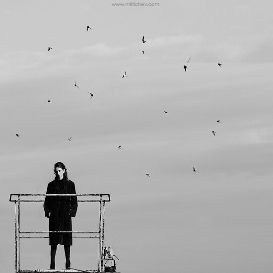 Vladislav Mitrichev's photo