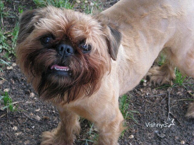 Мой Wilson)