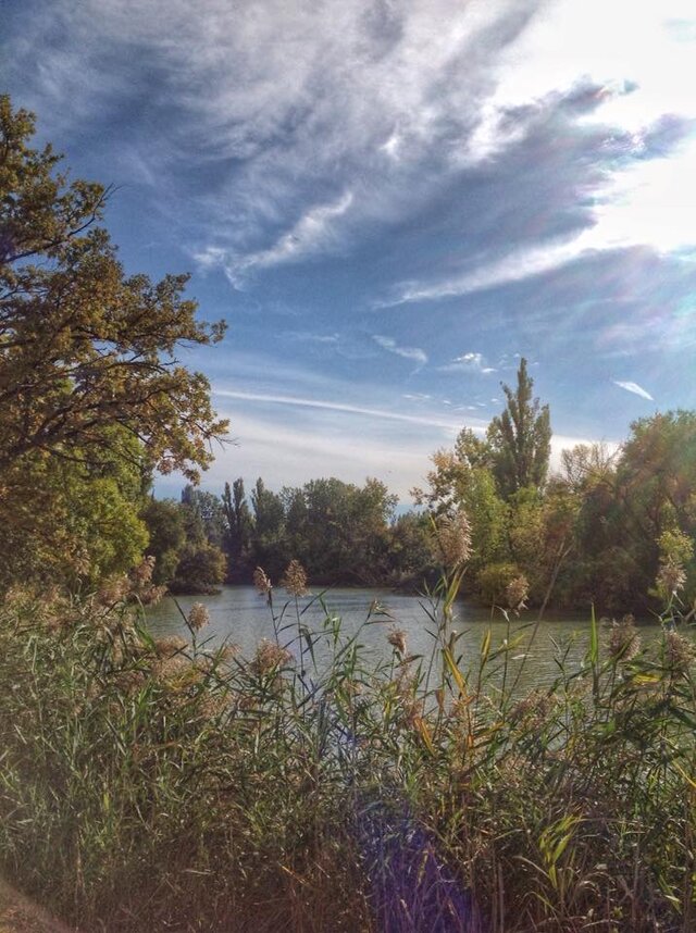 Darya Markina's photo