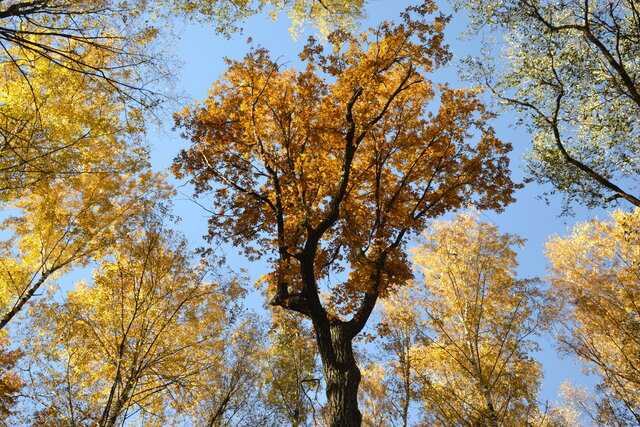 Ksenia Kyznetsova's photo