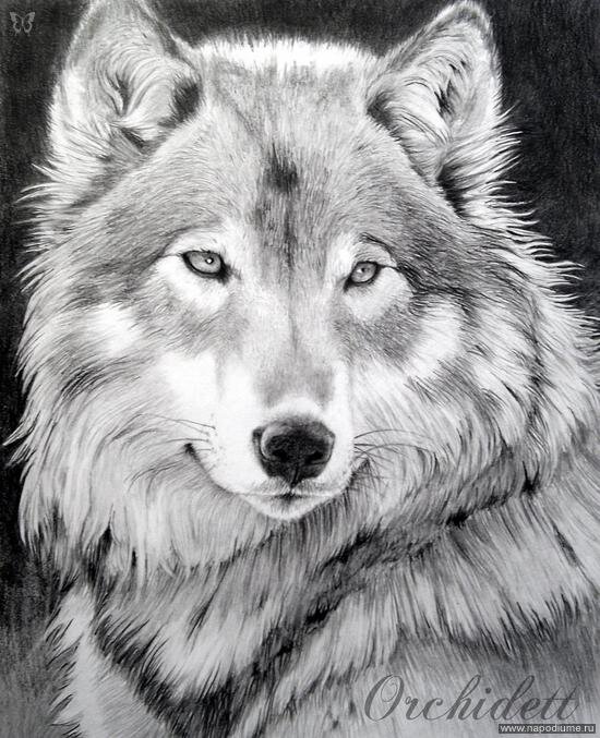 Natasa Trepalova's photo