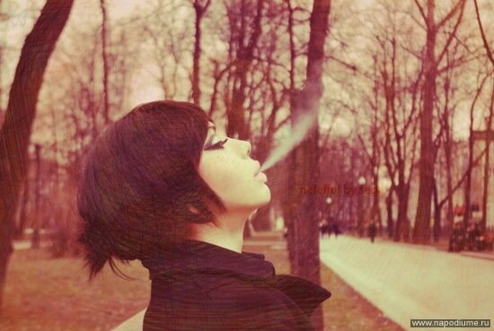Nefset Tlis's photo
