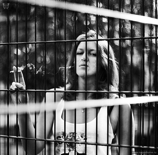 Фото Svetlana Met