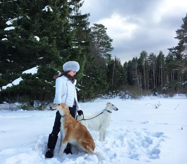 Kristalina Sorokina's photo