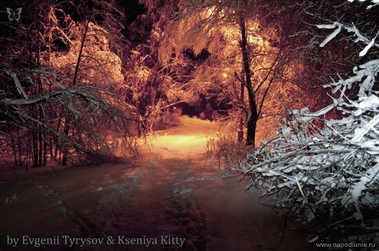 Kseniya Kitty's photo