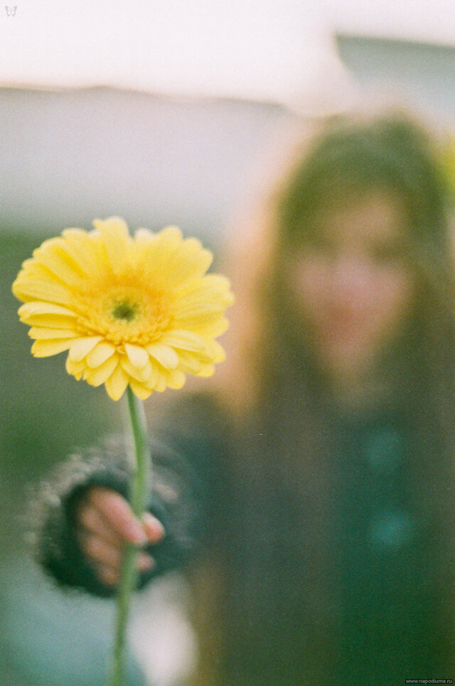 Embrace Her's photo