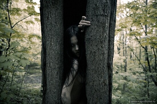 Фото Konstantin Alexandroff