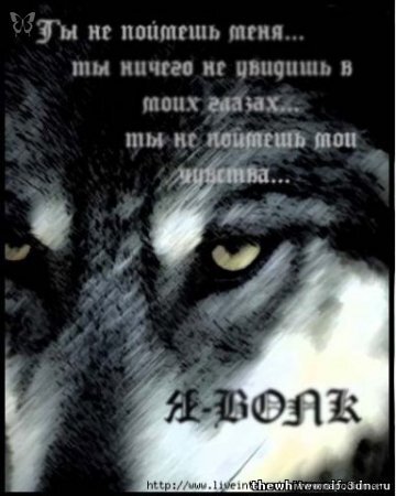 Natasa Trepalova's photo