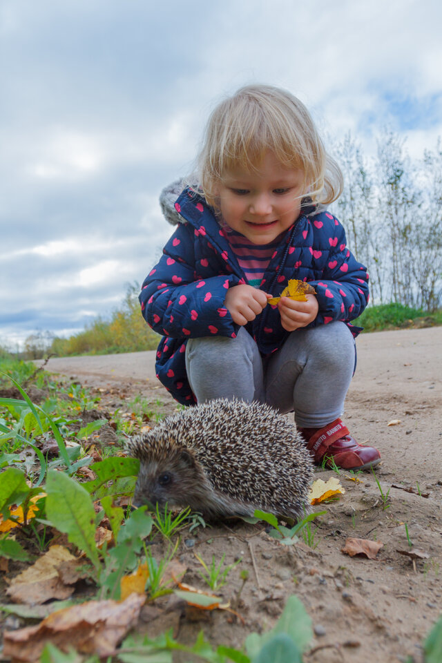 Vitalij Verdis's photo