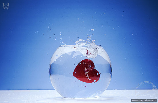 Nikolai Burlaka's photo