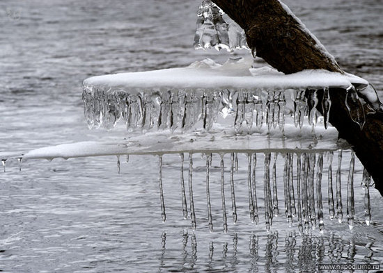 Evgenij Lusin's photo