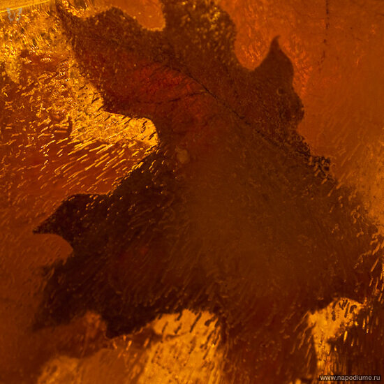 Dmitry Abegauz's photo