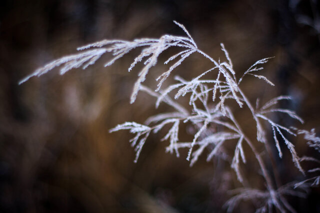 Elen Gosudareva's photo