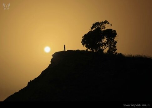 Фото Andre Gorbin