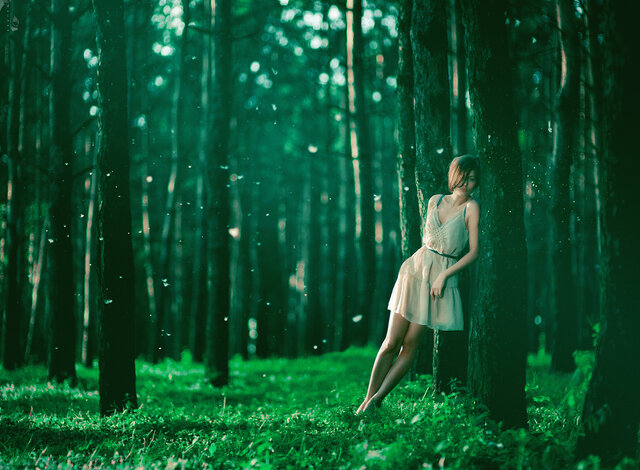 Фото Nikolay Tikhomirov