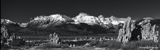 Dave Mount's photo