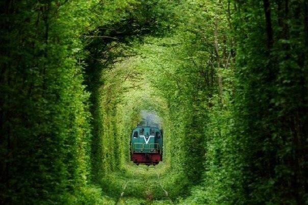 Photo %s