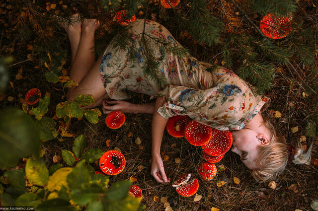 Sergey Kozienko's photo