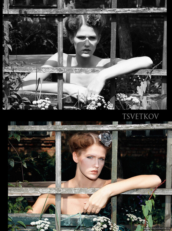 Фото Alex Tsvetkov