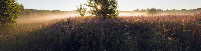 Dmitriy Mitin's photo