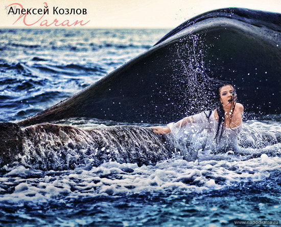 Aleksei Kozlov's photo